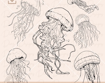 Jellyfish svg, jellyfish clipart, jellyfish cut file, jellyfish cricut, jellyfish vector, jellyfish png, ocean animal svg, sea creatures svg