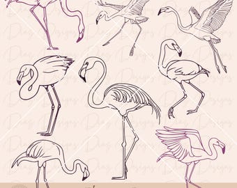 Flamenco svg png, flamenco posiciones vector, archivo corte animal flamenco, clipart flamenco hibisco, svg pájaro, arte lineal flamenco.