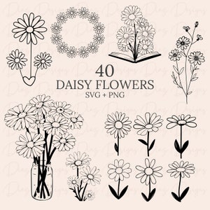 Daisy svg, daisy flower clipart, daisy flower png, floral bundle svg, wildflower clipart, flower svg bundle, botanical svg, floral png.