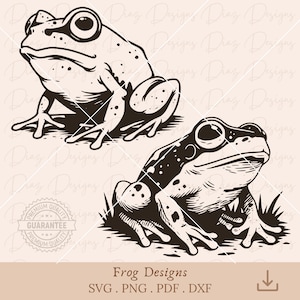 Grenouille svg, fichier de découpe cricut grenouille, clipart grenouille, clipart mystique, png céleste, cricut reptile, vecteur de dessin de grenouille, clipart grenouille magique.