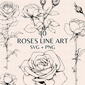 バラの svg、バラのクリップアート、花の svg、花のクリップアート、植物の svg、植物の svg、バラの png、バラの線 svg、花の png のセット。