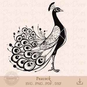 孔雀 svg、孔雀クリップアート、孔雀 cricut カット ファイル、孔雀 png、孔雀ベクトル、鳥の羽 svg、孔雀のシルエット。