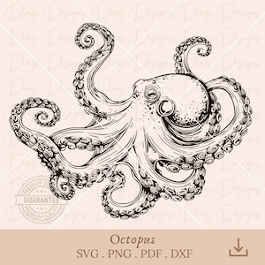 Oktopus SVG, Meerestier-Vektor, Meerestier PNG, Oktopus-Tattoo SVG, Meeresleben SVG, Kraken SVG, Ozean SVG, Seeungeheuer Clipart.