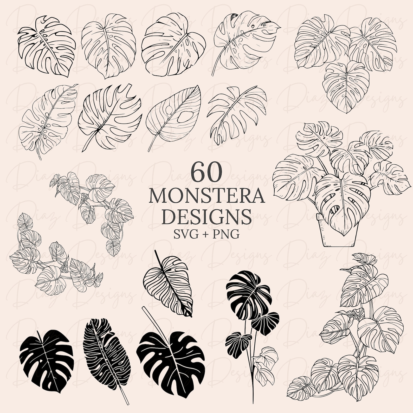 Monstera Svg Bundle, Monstera Plant Svg, Monstera Clipart, Monstera Cut