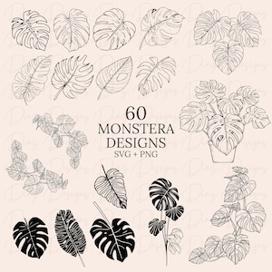 Monstera plant svg, monstera clipart, monstera png, tropische plant clipart, tropische bladeren clipart, bloemenbestanden svg, botanische svg