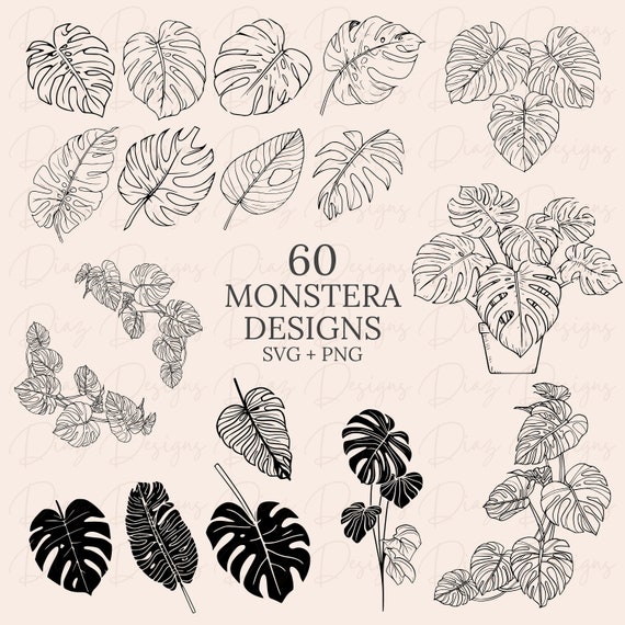 Planta monstera svg, monstera clipart, monstera png, planta tropical clipart, hojas tropicales clipart, archivos florales svg, botanica svg