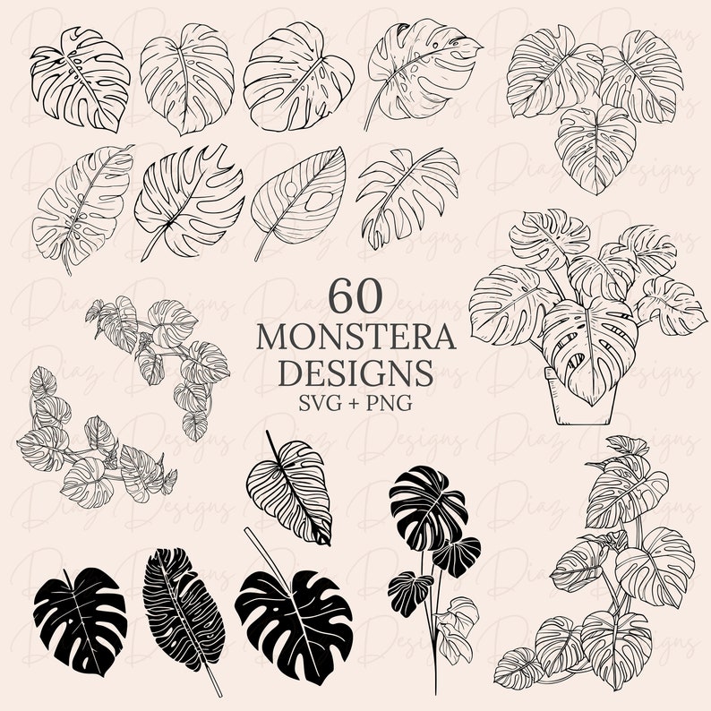 K&ouml;nnte beinhalten: Ein Set mit 60 Schwarzwei&szlig;-Illustrationen von Monstera-Bl&auml;ttern. Die Illustrationen sind in verschiedenen Stilen gehalten, darunter einzelne Bl&auml;tter, Bl&auml;ttergruppen und Topfpflanzen. Der Text "60 MONSTERA DESIGNS SVG + PNG" ist im Bild enthalten.
