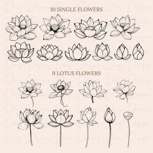 May include: A set of 19 black and white line drawings of lotus flowers. The drawings are in various stages of bloom, from buds to fully open flowers. The drawings are arranged in two rows, with the top row labeled "10 SINGLE FLOWERS" and the bottom row labeled "9 LOTUS FLOWERS".