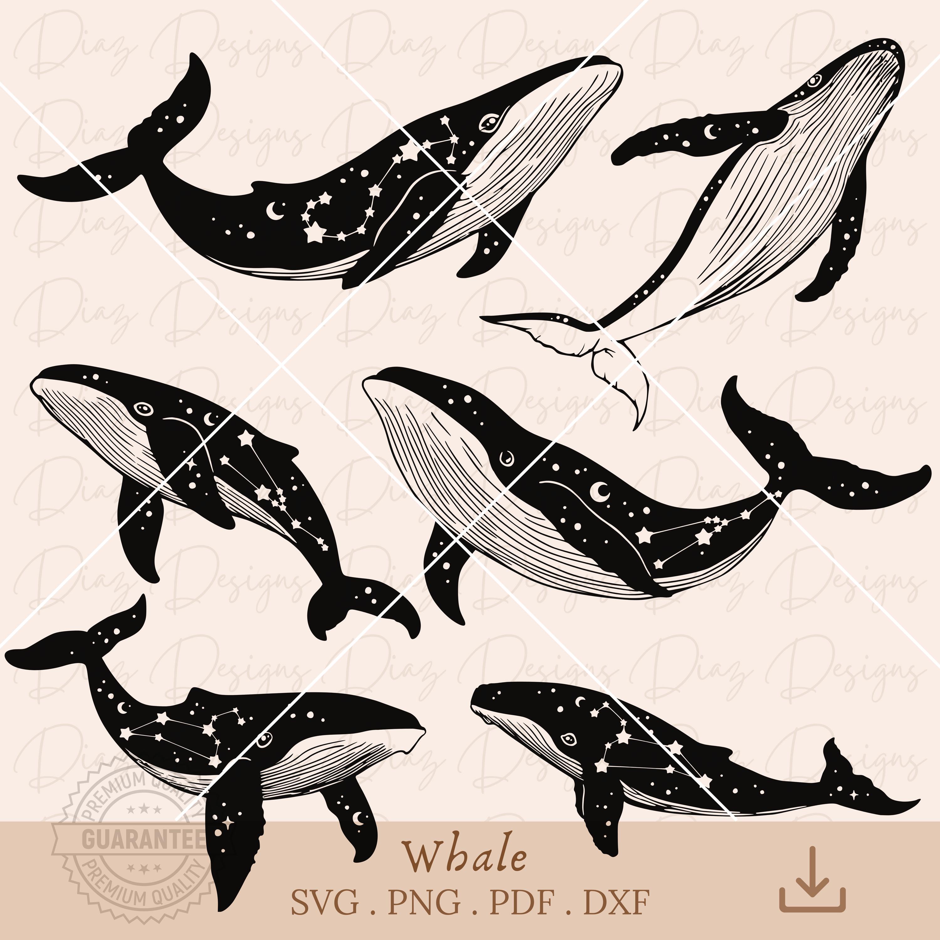 クジラの SVG、神秘的なクジラのクリップアート、海の生物の動物の SVG