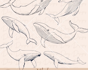 Whale svg bundle, whale png, ocean animals svg, whale animal clipart, whale vector, ocean life svg, whale cutting files, under sea cricut.