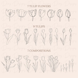 May include: A set of 7 individual tulip flower illustrations, 9 tulip flower illustrations, and 7 tulip flower compositions. All illustrations are in black and white line art style.