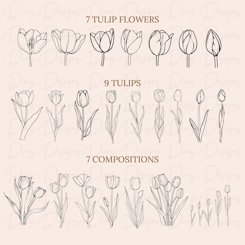 May include: A set of 7 individual tulip flower illustrations, 9 tulip flower illustrations, and 7 tulip flower compositions. All illustrations are in black and white line art style.