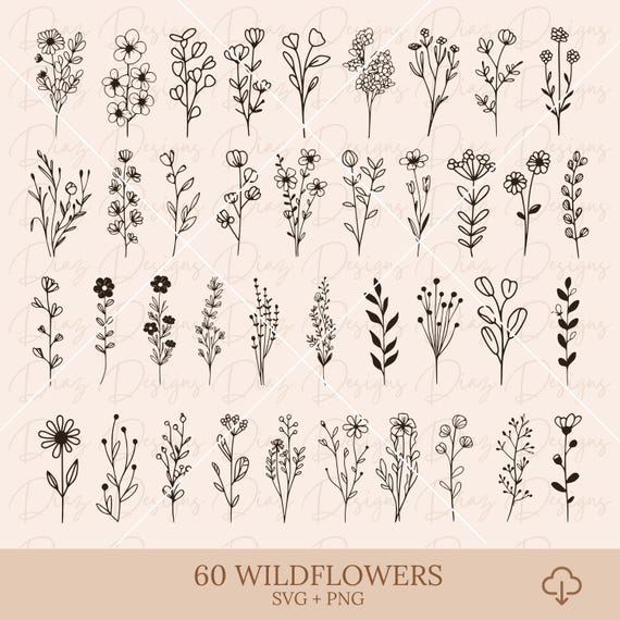 Flores silvestres svg, flores salvajes clipart, botanica svg, flores png cricut, floral vector, archivos corte floral, plantas salvajes png.