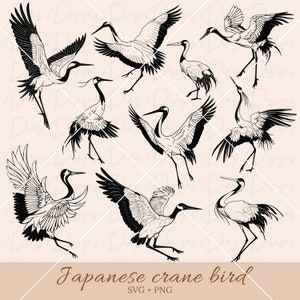 Japanse kraanvogel svg, kraanvogel vector, kraanvogel clipart, Japanse vogel png, Japans tatoeage ontwerp svg, Japanse kraanvogel cricut.
