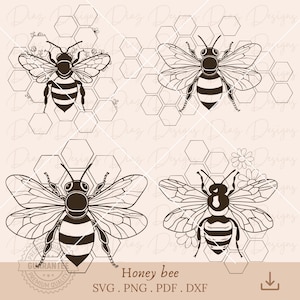 May include: Four black and white line drawings of honey bees on a honeycomb background. The bees are in different positions and have detailed wings and legs.