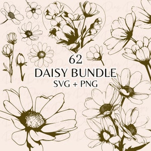 daisy svg, daisy flower clipart, daisy flower png, floral bundle svg, wildflower clipart, flower svg bundle, botanical svg, floral png.