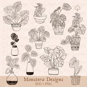 Monstera potted svg, monstera plant svg, monstera flowerpot clipart, monstera cut file, jungle leaves svg, tropical leaf svg, botanical svg.