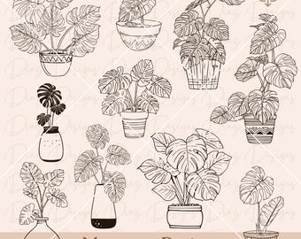 Monstera potted svg, monstera plant svg, monstera flowerpot clipart, monstera cut file, jungle leaves svg, tropical leaf svg, botanical svg.