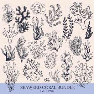 Zeewierset svg, zeeplanten clipart, zeeplanten kleurplaten, koraal svg, zeester svg, koraal clipart, koraal png