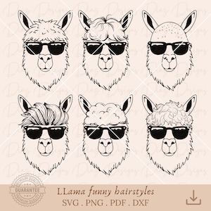 Clipart de lama drôle, lama svg, lama png, vecteur de lama mignon, alpaga svg, pas de drame lama cricut, maman lama png, fichier de coupe lama.