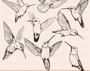 Hummingbird svg, hummingbird cut file, bird svg file, hummingbird png, hummingbird cricut, hummingbird clipart, hummingbird vector, bird svg