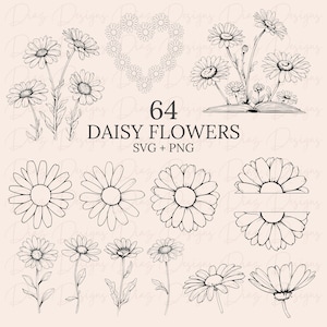 Daisy svg, daisy flower clipart, daisy flower png, floral bundle svg, wildflower clipart, flower svg bundle, botanical svg, floral png.