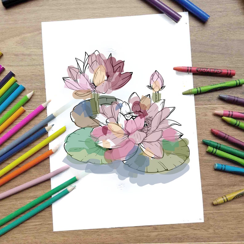 May include: A black and white line drawing of pink water lilies with green leaves. The lilies are partially colored in with shades of pink, yellow, and green.