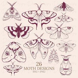 Ensemble SVG de papillons de nuit, pack png de papillons, clipart de papillons de nuit, fichiers de découpe de papillons, silhouette de papillon, camée de circuit de papillons de nuit.