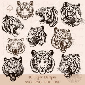 Tijger gezicht SVG, tijger hoofd SVG bundel, tijger gezicht gesneden bestand, tijger clipart, wilde tijger PNG, tijger vector, tijger cricut dier.
