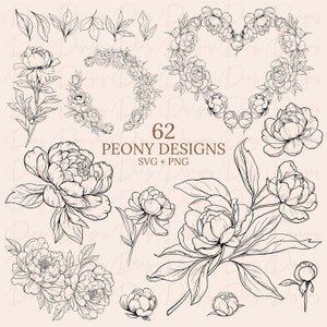 Pioenrozenset svg, pioenrozen clipart, bloemen svg, bloemen clipart, planten svg, plantkunde svg, pioenrozen png, pioenrozen tekening svg, bloemen png.
