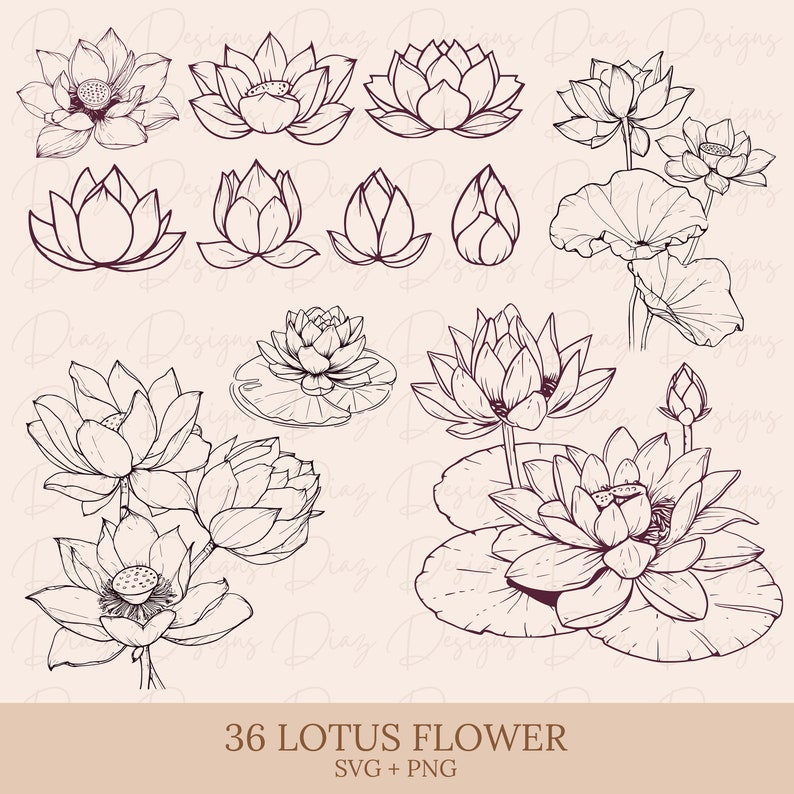 May include: A set of 36 black and white line drawings of lotus flowers in various poses and stages of bloom. The illustrations are perfect for crafting, scrapbooking, and digital design projects.