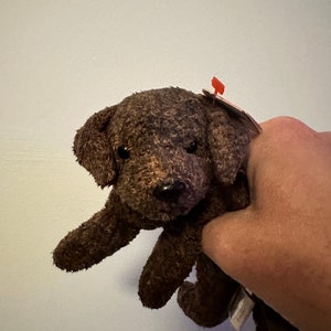 May include: A brown plush dog toy with a black nose and brown eyes. The toy has a red tag attached to it.