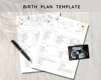 Editable Birth Plan Template, Pregnancy planner, Labor and Delivery, Natural Birth Plan, Doula, Pregnancy Journal, Visual Birth Plan