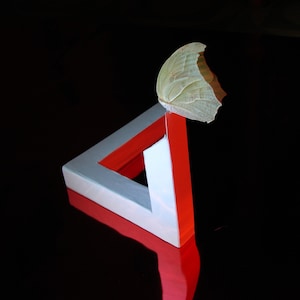 Optical Illusions: 2 Impossible Objects (Penrose Triangle and Penrose Rectangle) Printable