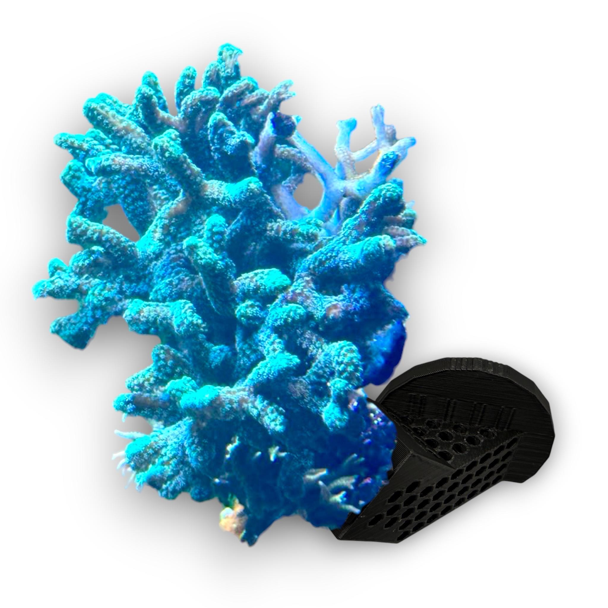 Fafeicy Coraux Artificiels D'aquarium Simulation Corail Corps Souple Ornement Paysage D'arbre De