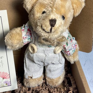 May include: A small, beige teddy bear wearing a white overall with floral print and two buttons. The bear is sitting in a brown paper shred box.