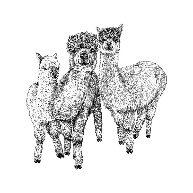 Alpaca-stempel DIY-motiefstempel voor het maken van kaarten, papier, stoffen dierenstempel, dieren, lama afbeelding 2
