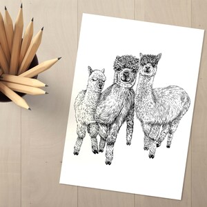 Alpaca-stempel DIY-motiefstempel voor het maken van kaarten, papier, stoffen dierenstempel, dieren, lama afbeelding 4