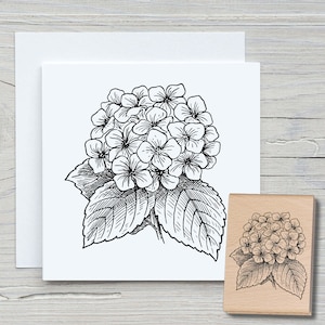 Stempel Hortensie  - DIY Motivstempel zum basteln von Karten, Papier, Stoffen - Floral, Blumen, Hydrangea