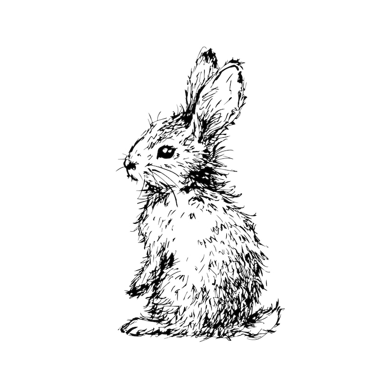 Stempel Puschelhase DIY Motivstempel zum basteln von Karten, Papier, Stoffen Ostern, Osterfest, Kaninchen Bild 2