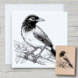 Stempel Elster - DIY Motivstempel zum basteln von Karten, Papier, Stoffen - Vogel, Tierstempel, Tiere