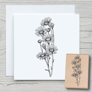 Stempel Gänseblumen - DIY Motivstempel zum basteln von Karten, Papier, Stoffen - Floral, Blumen, Zweige