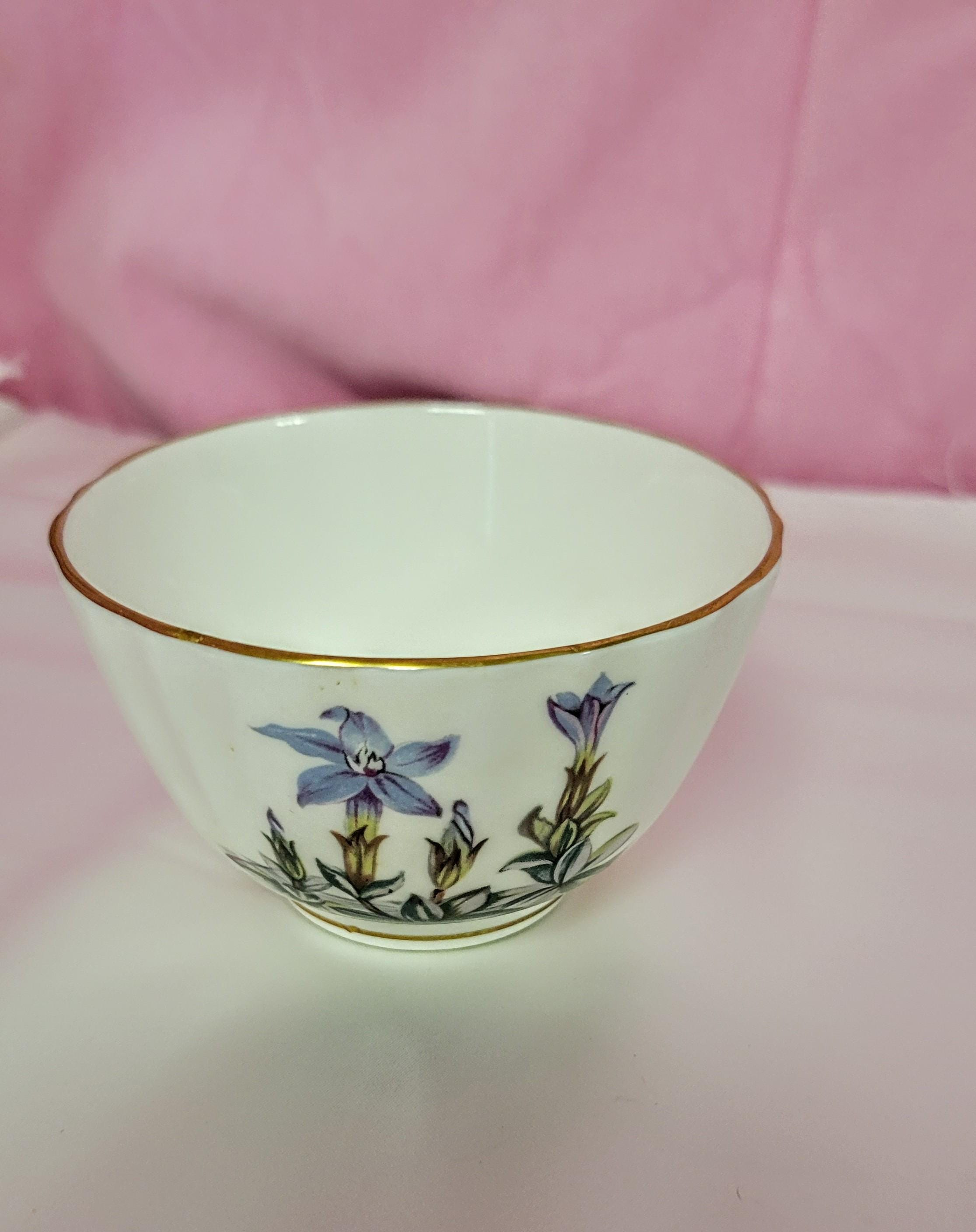 Royal Worcester Sugar Bowl - Etsy