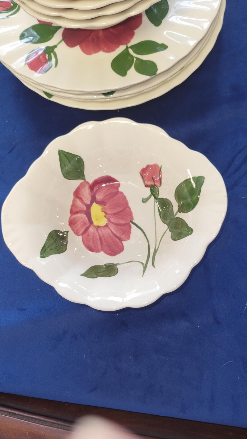 Blue Ridge Southern Pottery Hand Painted Floral Dinnerware Set 19 ...