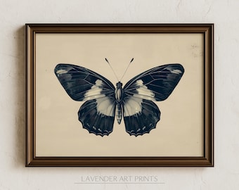 Vintage Butterfly Moth Print: Minimalist Black Ink Illustration | 0310