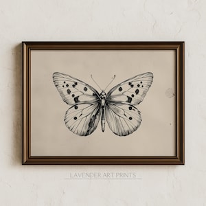 Hand Drawn Butterfly Sketch Printable Wall Art, Vintage Moth Print, Elegant Minimalist Wall Decor | 0309