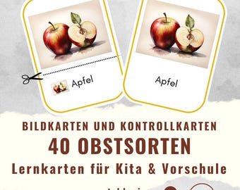 Fruit Type Flashcards for Daycare & Preschool | Kindergarten | Picture Cards | Morning Circle for Educators | Montessori | PDF | Digital Download