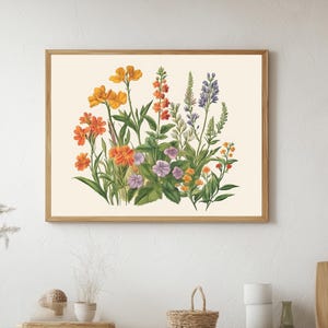 May include: A vintage botanical illustration featuring a cluster of orange, yellow, and purple flowers with green leaves. The flowers are arranged in a bouquet-like formation against a white background.