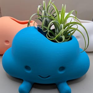 Happy Cloud pen holder succulent planter-Desk Decor-Organizer-Pencil Cup- Kawaii Stationery Storage-Gift-Air Plant Holder-3D Printed