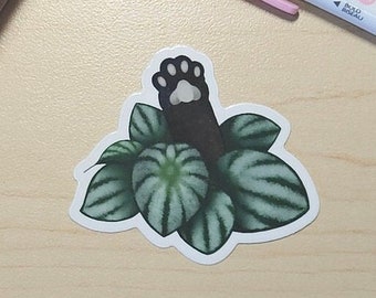 Adesivo in vinile fustellato Beans - impermeabile - gatto - carino